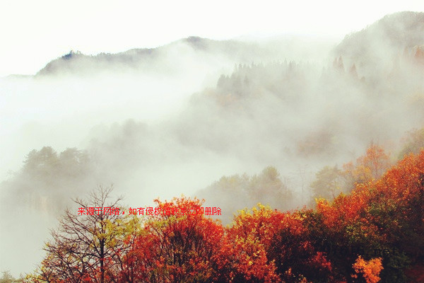 张家界天子山连绵冬雨现旷世云雾仙景