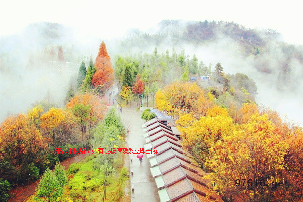 张家界天子山连绵冬雨现旷世云雾仙景