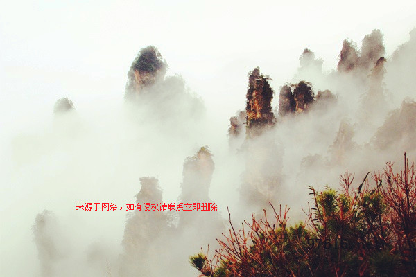 张家界天子山连绵冬雨现旷世云雾仙景