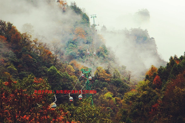 张家界天子山连绵冬雨现旷世云雾仙景