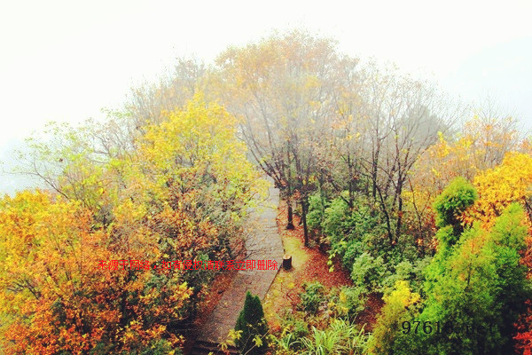 张家界天子山连绵冬雨现旷世云雾仙景